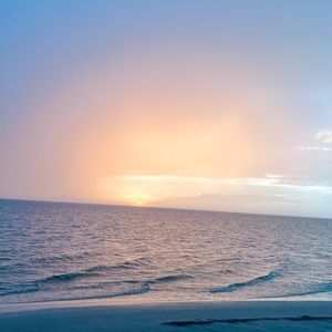 Meet your Posher, Addison